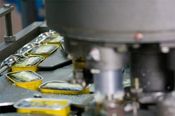 At the Canned Factory