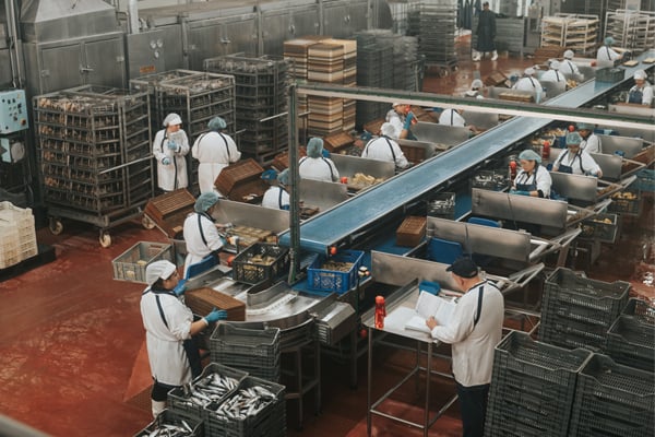 At the Canned Factory