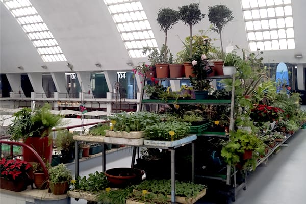 Matosinhos Market